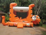 Tiger Belly Bouncer